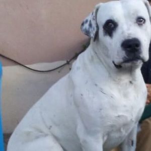 Meet your Posher, Alejandra